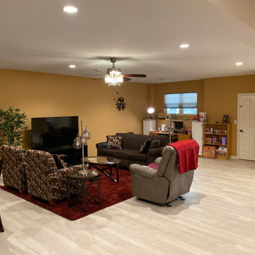 Lower Level Remodel I Sussex