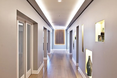 Inspiration for a large transitional bamboo floor hallway remodel in Chicago with gray walls