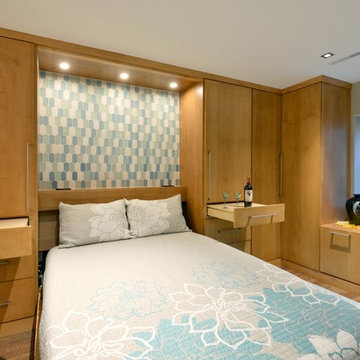 Midcentury Modern Basement Remodel