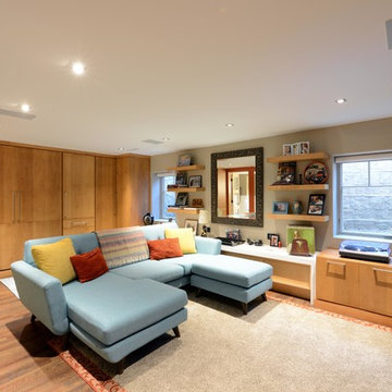 Midcentury Modern Basement Remodel