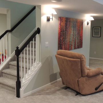 Mitchell basement finish
