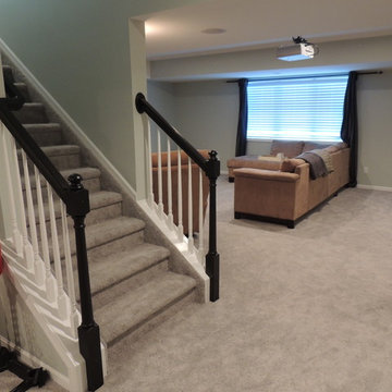 Mitchell basement finish
