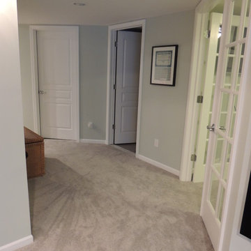 Mitchell basement finish