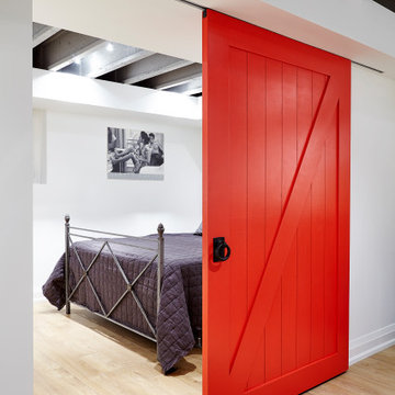Modern Basement