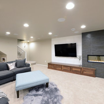 Modern Basement Remodel