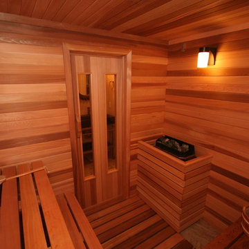 Montero Basement with Sauna