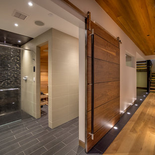 Basement - rustic basement idea in Denver