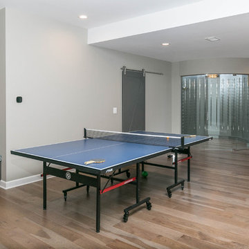 Multifunctional Contemporary Basement