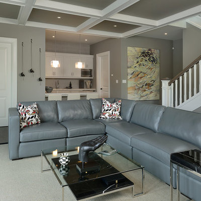 Basement - traditional underground gray floor basement idea in Toronto with gray walls