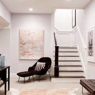 Black And White Basement Ideas Photos Houzz