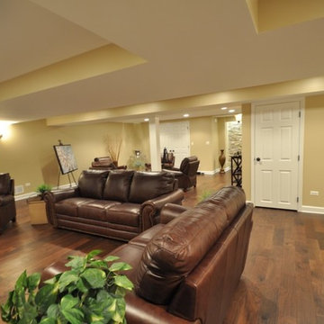 Naperville Basement