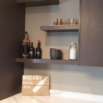 new entertainment kitchen area