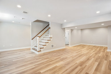 Example of a classic basement design in Boston