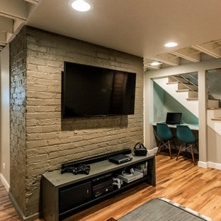 Oak Park Basement, Bath, & Beyond