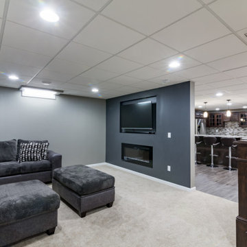 Palatine Basement Remodel