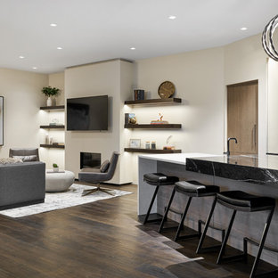Inspiration pour un grand sous-sol minimaliste donnant sur l'extérieur avec un bar de salon, un mur blanc, un sol en bois foncé, une cheminée standard, un manteau de cheminée en plâtre et un sol marron.