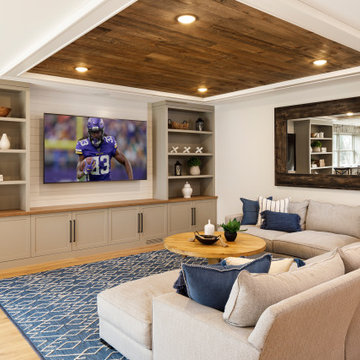 Rec Room & Lower Level Living Space