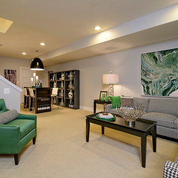 RENOVATION:: Phil's Basement in Palisades, DC