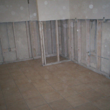 Residential Basement Mold Removal