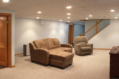 Elegant basement photo in Other