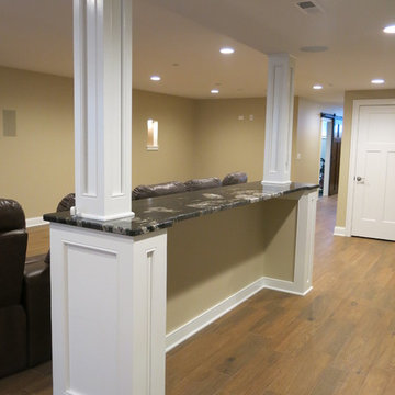 Roselle basement with full bar, media area, and gym with barn door