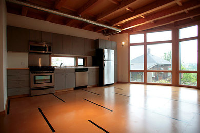 Basement - contemporary basement idea in Seattle