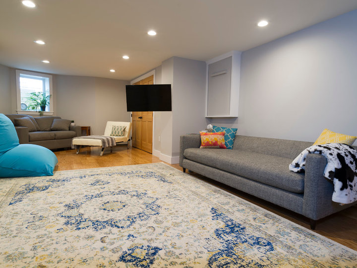 Contemporary Basement - Basement