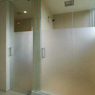 Shower Doors- Steam Frosted