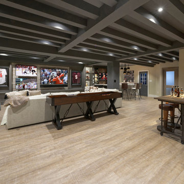 Sports Fan Dream Basement in Northern Virginia