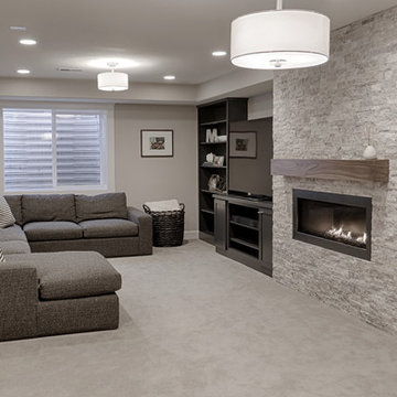 Contemporary Basement