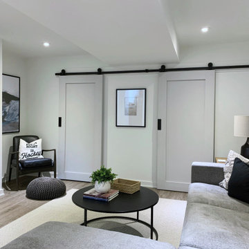 Toronto Basement