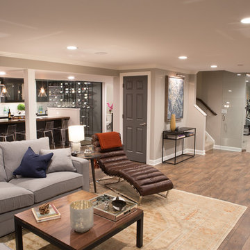 Tower Lakes Basement Renovation