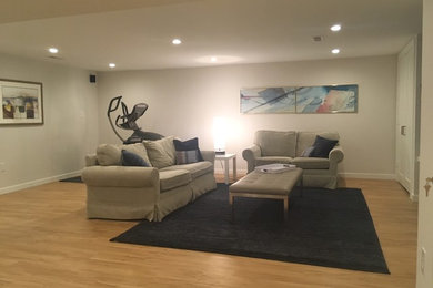 Mid-sized trendy look-out vinyl floor and beige floor basement photo in DC Metro with white walls