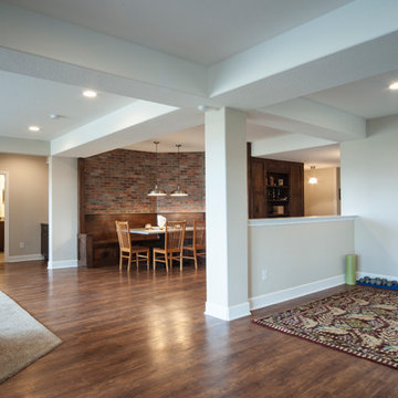 Transitional Basement in Highlands Ranch, CO