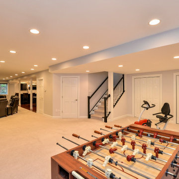 Vernon Hills Basement Remodel