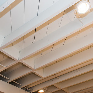 Vestavia Basement