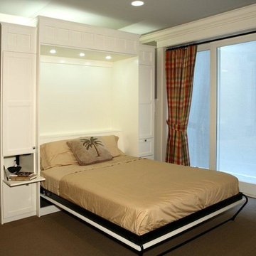 Wall Bed in Downstairs Basement Space