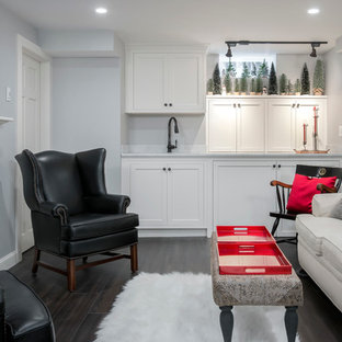 Inspiration pour un petit sous-sol sud-ouest américain donnant sur l'extérieur avec un mur gris, un sol en vinyl, une cheminée standard et un manteau de cheminée en pierre.
