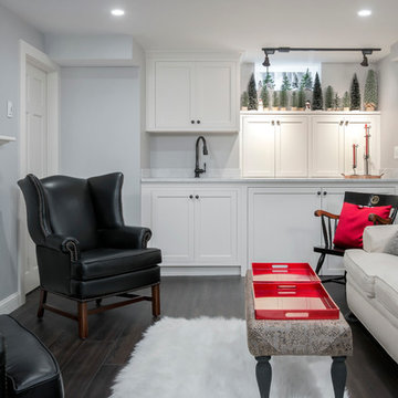 Wellesley Basement Transformation