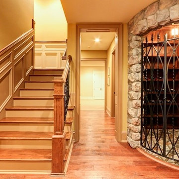 Wine Cellar in Finished Basement