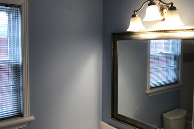 オタワにある中くらいなおしゃれなマスターバスルーム (青い壁) の写真