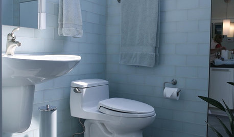 Which is Better: Wall-Mounted or Floor-Mounted WC (Commode)?