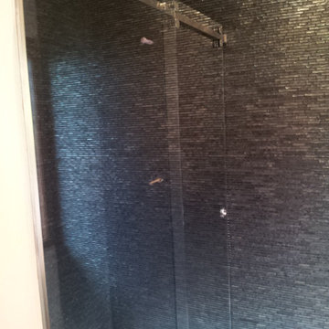 3/8 Serenity Shower Door