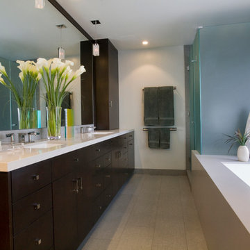 Aberle Contemporary Master Bathroom