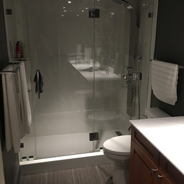 Adagio (Bethesda, MD) bathroom remodels/Foyer