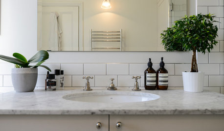 10 Ways to Add Plants to Your Bathroom