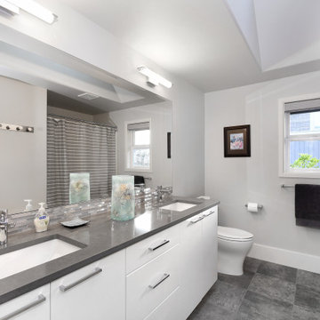 (Addition) Vaulted Ceiling with Lots of Light