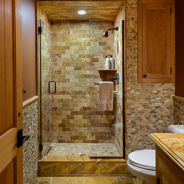 Alpine Ski Home