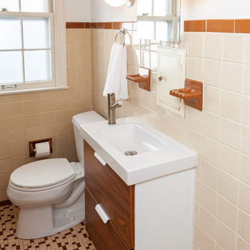 Ann Arbor Cape Cod Bathroom