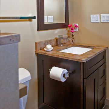 Ann Arbor Mother-in-Law Bathroom Remodel